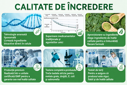 🎊Magazin Oficial | 🌿 GLORENDA® Moringa · Berberină × NAD+ Plasture Avansat Nano cu Microace 10 în 1 (Doar o dată pe zi, schimbări vizibile în 7 zile) ✅ Pentru obezitate, piele lăsată, diabet, apnee în somn, probleme articulare și multe altele